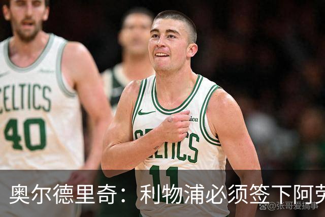 奥尔德里奇：利物浦必须签下阿劳霍